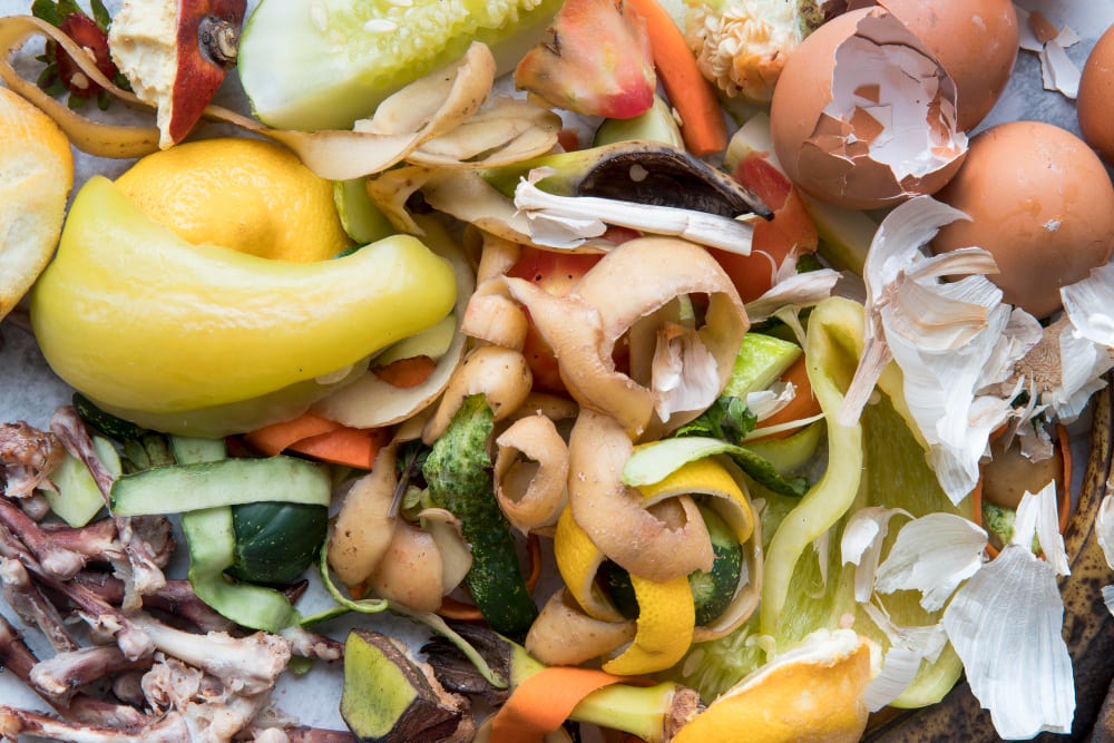 Food Waste Recycling